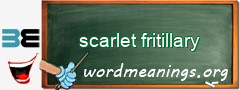 WordMeaning blackboard for scarlet fritillary
